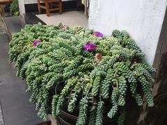 -尼玛藏家风味园(阿山食城店)