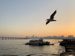 -星海广场
