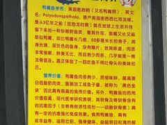 -鸿渡渔庄·特色鸭咀鱼