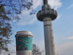 -茶颜悦色(岳麓山顶店)