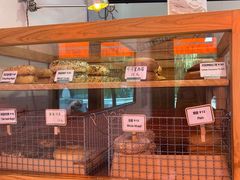 菜单-Catch Bagel(芳草地店)