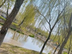 -东郊湿地公园