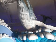 -烟台海昌鲸鲨海洋公园