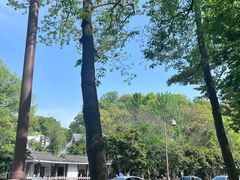 -杭州西湖风景名胜区-满觉陇四眼井