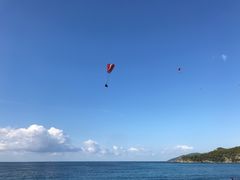 -费特希耶滑翔伞