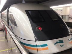-浦东1号2号航站楼(地铁站)