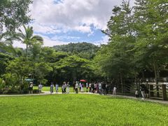 -野象谷景区