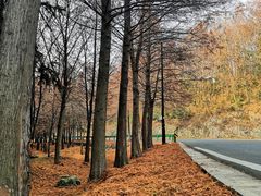 -南京市无想山景区