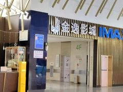 -金逸影城(武汉人信汇IMAX店)