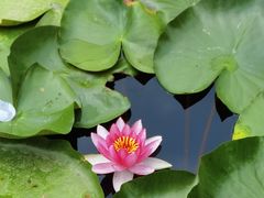 -白鹭湾湿地公园