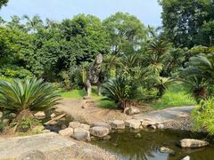 -华南国家植物园-售票处