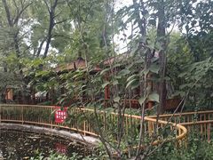 -太阳宫公园