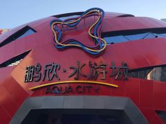 -鹏欣水游城