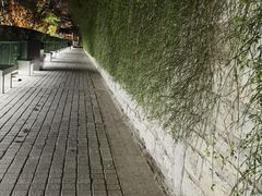 -解放阁
