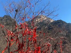 -泰山风景名胜区