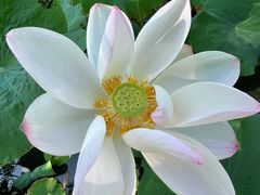 -上海交通大学(闵行校区)