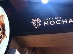 -MOCHA明星猫咖(田子坊店)