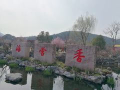 -香雪海
