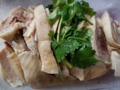 -九斤黄三黄鸡专卖店