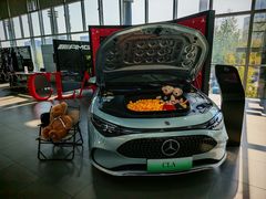 -奔驰利星行(北京花乡店)