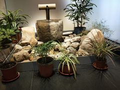 -翔峰炭火鳗鱼(悦泰街里公寓店)