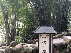 -三江森林温泉度假区