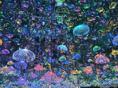 -上海梵高星空艺术馆(南京路旗舰店)