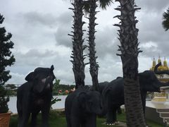 -东芭乐园
