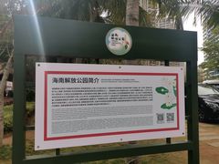 -临高角