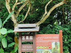 -中国科学院西双版纳热带植物园