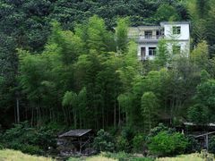 -新安江山水画廊风景区