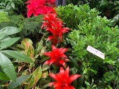 -秦美花卉(天朗·莱茵小城2期店)