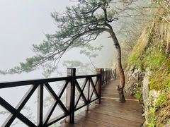 -萍乡武功山风景名胜区