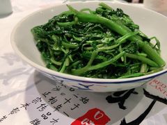 -壹盏灯(惠农店)