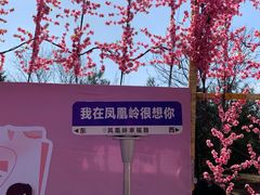 -北京凤凰岭