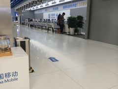 -中国移动(高升桥营业厅)