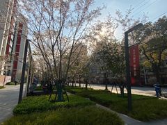 -中興路一號Oriental One
