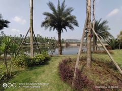 -枫香湖儿童公园