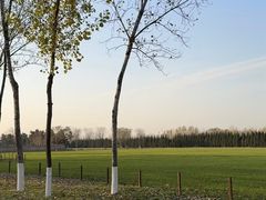 -汉长安城未央宫国家考古遗址公园