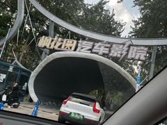 -枫花园汽车电影院(朝阳公园店)