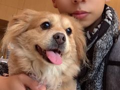 -悠尼宠物·独立低压伊珊娜洗护·美容·寄养(兰谷路店)