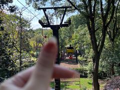 -WeLope紫金山探险公园