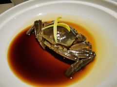 醉蟹-成隆行·蟹王府(九江路店)
