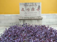 -西园戒幢律寺