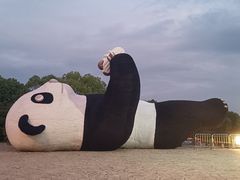 -苏州太湖国家湿地公园