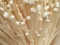 -圣福琚川味火锅(金伦花园店)