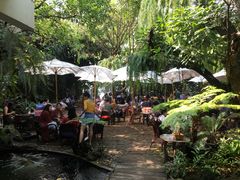 景观位-Fern Forest Cafe