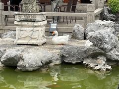 -祝家花園(伯渎港店)