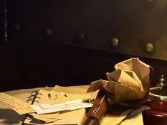 -武汉知音号