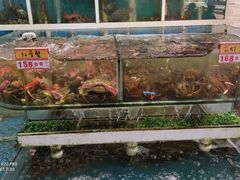-鑫悦楼煎蟹·16年海鲜大排档